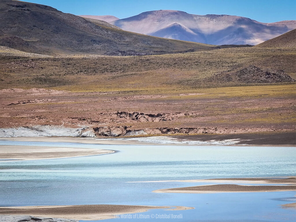 Bonelli, Altiplano, Atacama