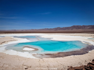 Bonelli, tebenquiche, Atacama Bonelli, tebenquiche, Atacama